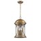 Homeroots 18.5 x 11 x 11 in. Lincoln 4-Light Antique Brass Hanging Light 397955 - alternate 1